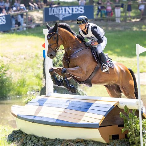 hermes d'authieux|Eventing Stallions the BN rankings – The Horse Magazine.